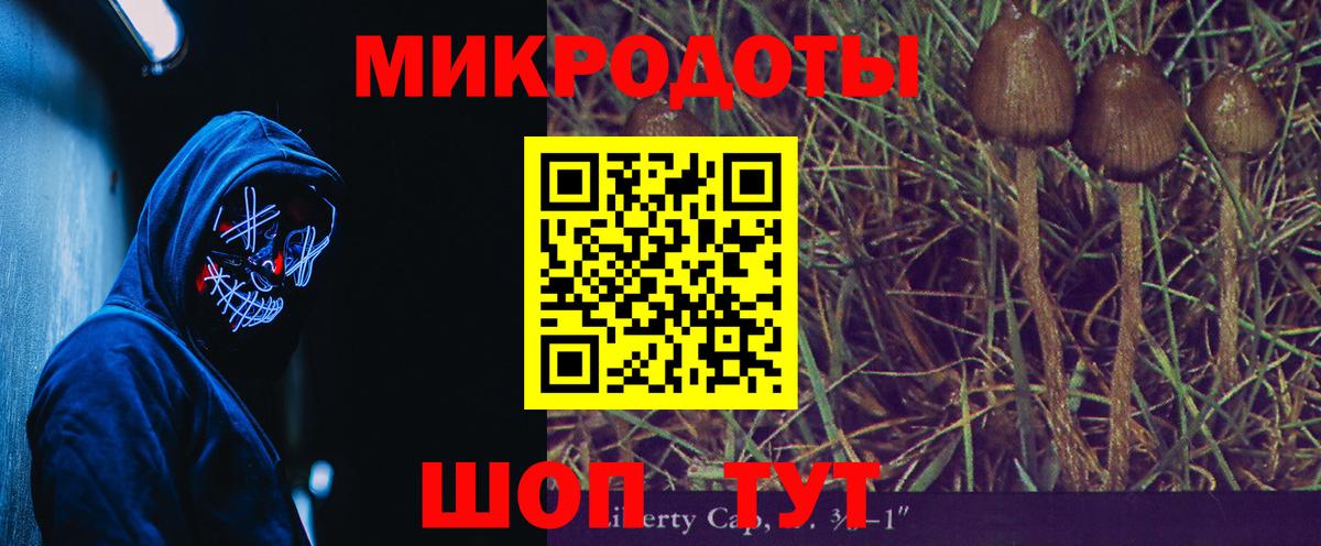 Новодвинск  Псилоцибиновые грибы мухоморы  Вход с VPN 