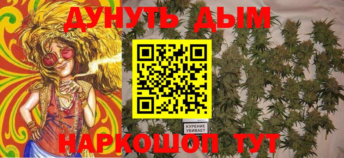 Канабис семена Новодвинск
